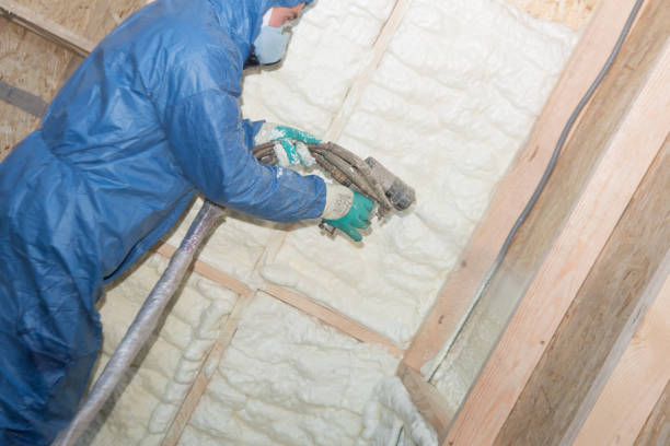 Best Fireproof Insulation  in Moweaqua, IL